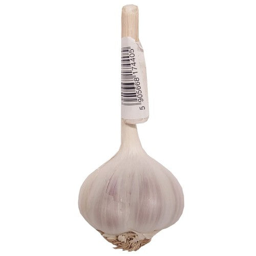 Czosnek ekstra Warzywa Auchan 1 sztuka