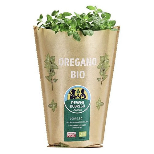 BIO Oregano  Pewni Dobrego sztuka
