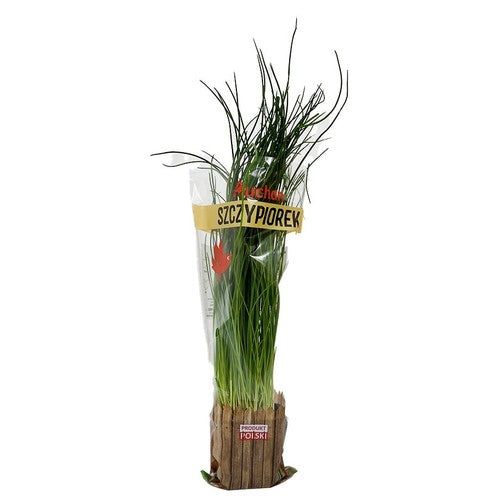 Szczypiorek Auchan sztuka