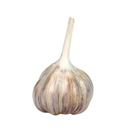 Czosnek główka Warzywa Auchan sztuka