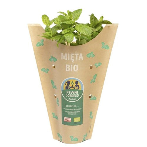 BIO Mięta   Pewni Dobrego sztuka